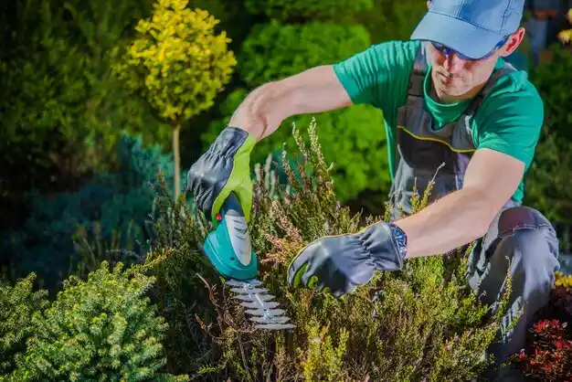 landscaping services Bloomingburg